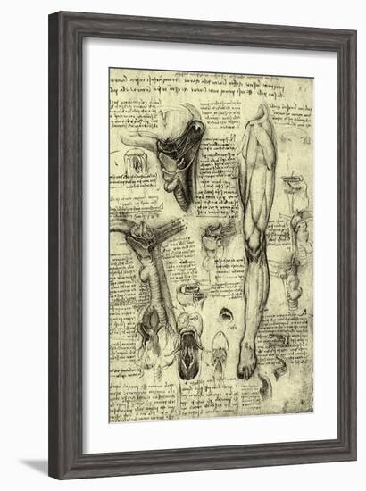 Human Anatomy-Leonardo da Vinci-Framed Giclee Print