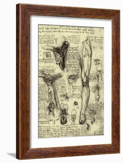 Human Anatomy-Leonardo da Vinci-Framed Giclee Print