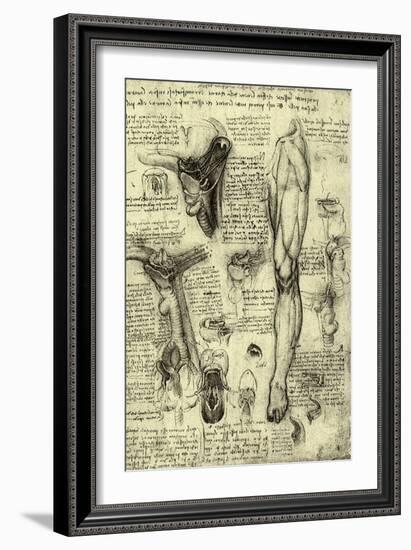 Human Anatomy-Leonardo da Vinci-Framed Giclee Print