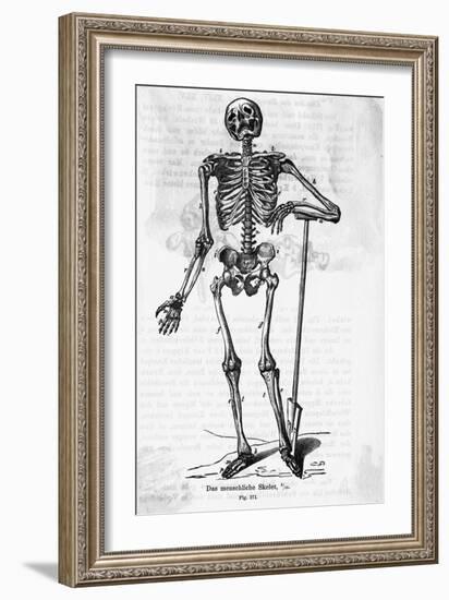 Human Body Skeleton-Bettmann-Framed Giclee Print