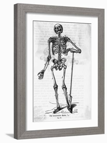 Human Body Skeleton-Bettmann-Framed Giclee Print