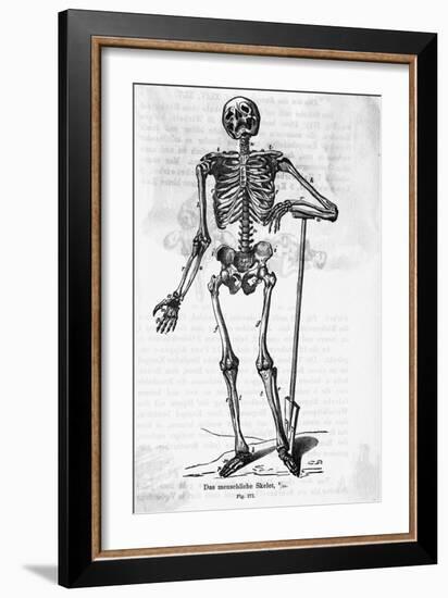 Human Body Skeleton-Bettmann-Framed Giclee Print