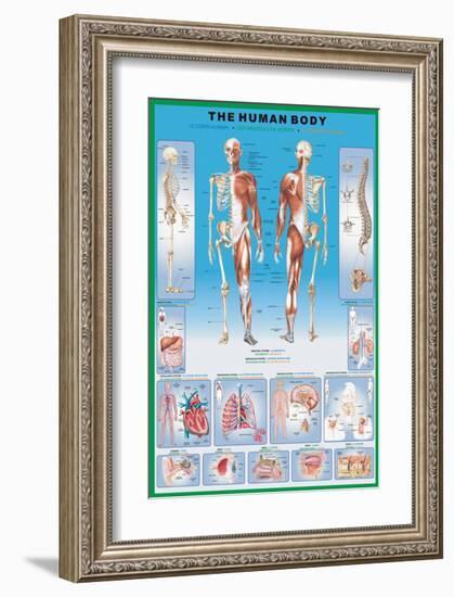 Human Body-null-Framed Premium Giclee Print