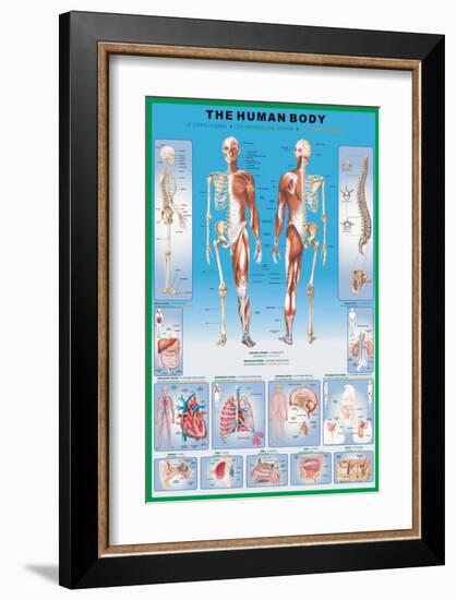 Human Body-null-Framed Premium Giclee Print