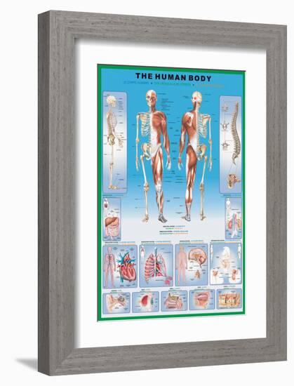 Human Body-null-Framed Premium Giclee Print