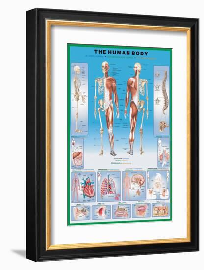 Human Body-null-Framed Premium Giclee Print