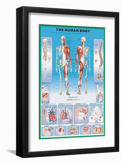 Human Body-null-Framed Art Print
