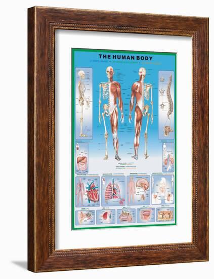 Human Body-null-Framed Art Print