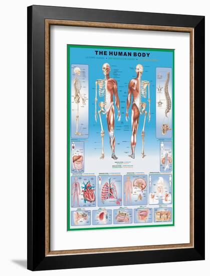 Human Body-null-Framed Art Print