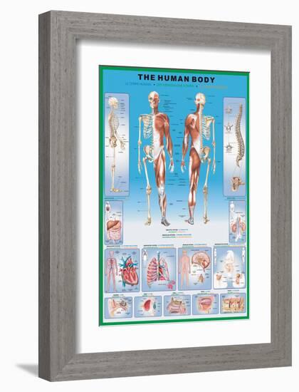 Human Body-null-Framed Art Print