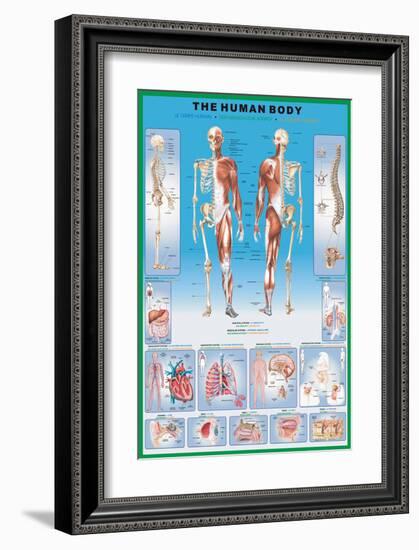 Human Body-null-Framed Art Print