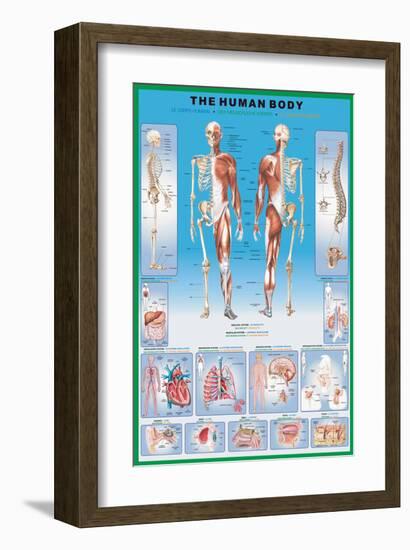 Human Body-null-Framed Art Print