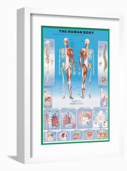 Human Body-null-Framed Art Print