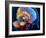 Human Brain Anatomy, Artwork-Roger Harris-Framed Photographic Print