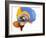 Human Brain Anatomy, Artwork-Roger Harris-Framed Photographic Print