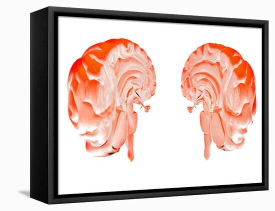 Human Brain, Artwork-Victor Habbick-Framed Premier Image Canvas