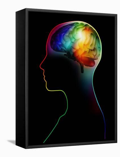 Human Brain, Artwork-Victor Habbick-Framed Premier Image Canvas