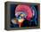 Human Brain, Artwork-Roger Harris-Framed Premier Image Canvas