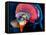 Human Brain, Artwork-Roger Harris-Framed Premier Image Canvas