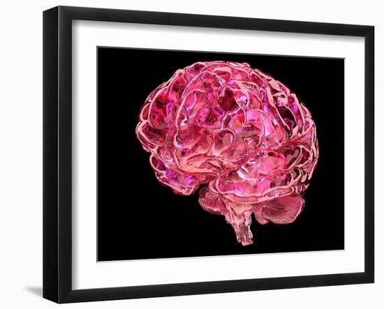 Human Brain, Artwork-Laguna Design-Framed Photographic Print