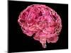 Human Brain, Artwork-Laguna Design-Mounted Photographic Print