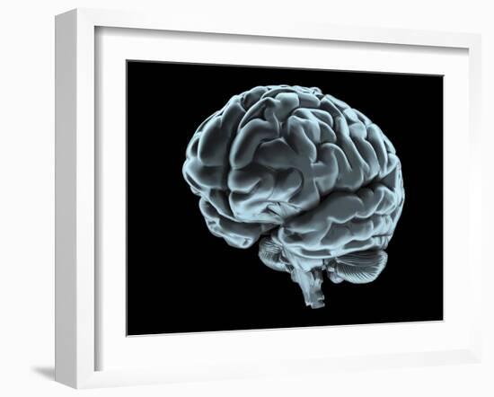 Human Brain, Artwork-Laguna Design-Framed Photographic Print
