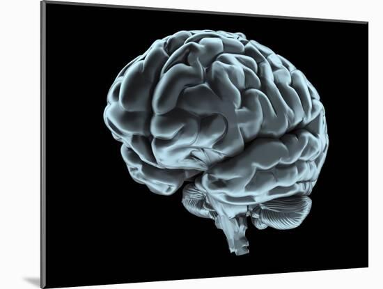 Human Brain, Artwork-Laguna Design-Mounted Photographic Print