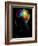 Human Brain, Artwork-Victor Habbick-Framed Photographic Print