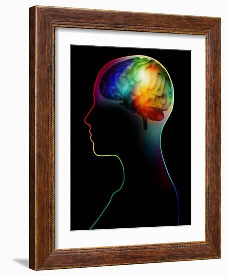 Human Brain, Artwork-Victor Habbick-Framed Photographic Print