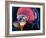 Human Brain, Artwork-Roger Harris-Framed Photographic Print