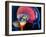 Human Brain, Artwork-Roger Harris-Framed Photographic Print