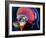 Human Brain, Artwork-Roger Harris-Framed Photographic Print