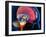 Human Brain, Artwork-Roger Harris-Framed Photographic Print
