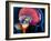 Human Brain, Artwork-Roger Harris-Framed Photographic Print