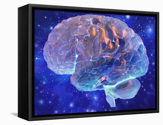 Human Brain, Computer Artwork-Mehau Kulyk-Framed Premier Image Canvas