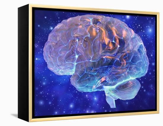 Human Brain, Computer Artwork-Mehau Kulyk-Framed Premier Image Canvas