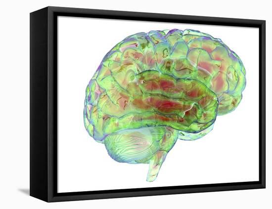 Human Brain,computer Artwork-PASIEKA-Framed Premier Image Canvas