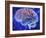 Human Brain, Computer Artwork-Mehau Kulyk-Framed Photographic Print