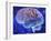 Human Brain, Computer Artwork-Mehau Kulyk-Framed Photographic Print