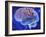 Human Brain, Computer Artwork-Mehau Kulyk-Framed Photographic Print