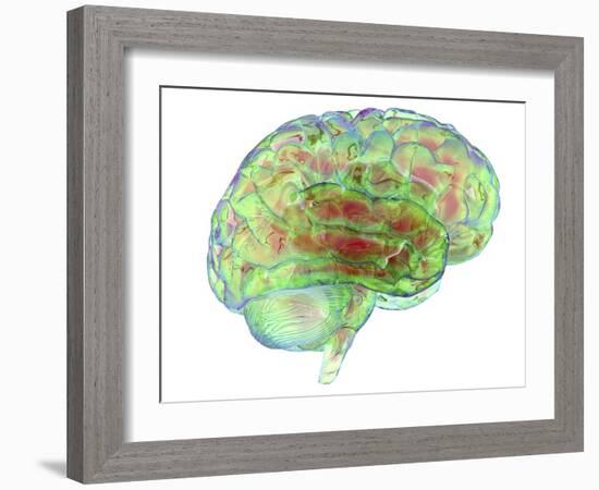 Human Brain,computer Artwork-PASIEKA-Framed Photographic Print