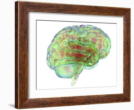 Human Brain,computer Artwork-PASIEKA-Framed Photographic Print