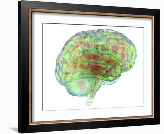 Human Brain,computer Artwork-PASIEKA-Framed Photographic Print