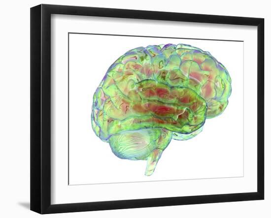 Human Brain,computer Artwork-PASIEKA-Framed Photographic Print