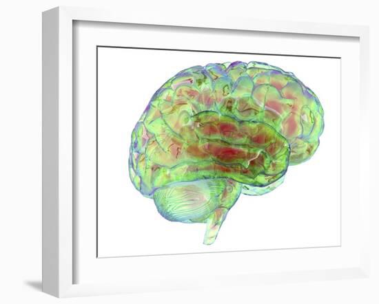 Human Brain,computer Artwork-PASIEKA-Framed Photographic Print