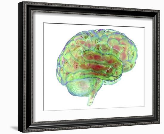 Human Brain,computer Artwork-PASIEKA-Framed Photographic Print