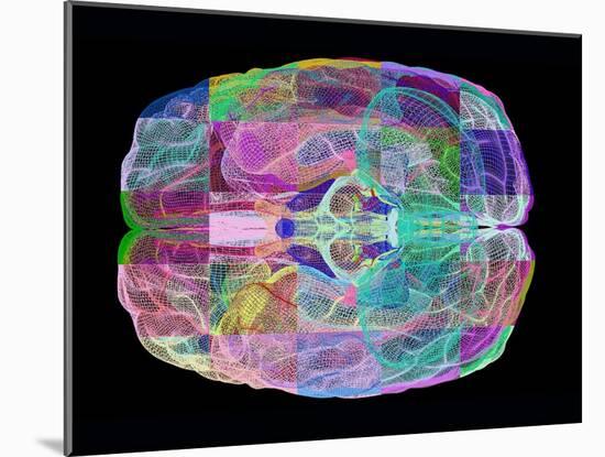 Human Brain, Computer Artwork-PASIEKA-Mounted Photographic Print