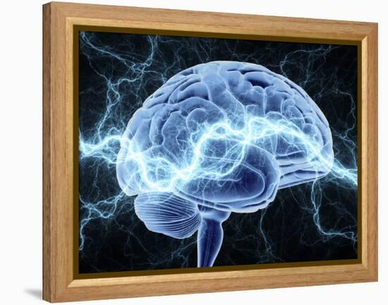 Human Brain, Conceptual Artwork-PASIEKA-Framed Premier Image Canvas