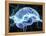 Human Brain, Conceptual Artwork-PASIEKA-Framed Premier Image Canvas