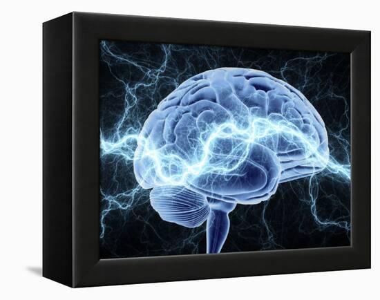 Human Brain, Conceptual Artwork-PASIEKA-Framed Premier Image Canvas